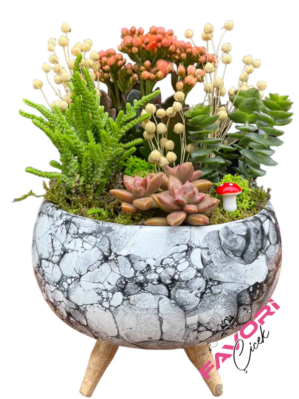 Ayaklı Saksıda Kalanchoe ve Sukulentler