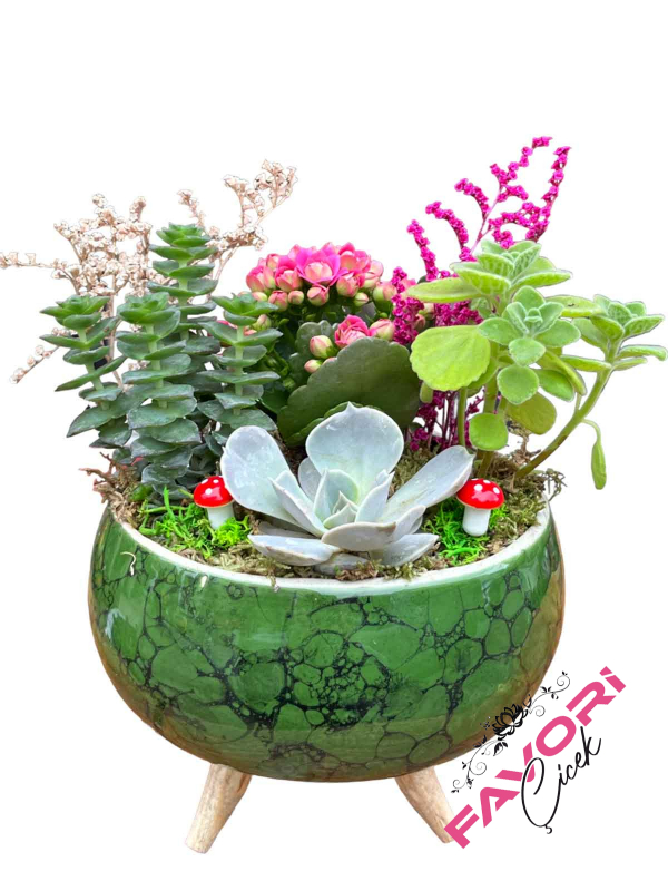 Ayaklı Saksıda Pembe Kalanchoe ve Sukulentler